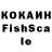 Cocaine Fish Scale HIRYZEN DOKO