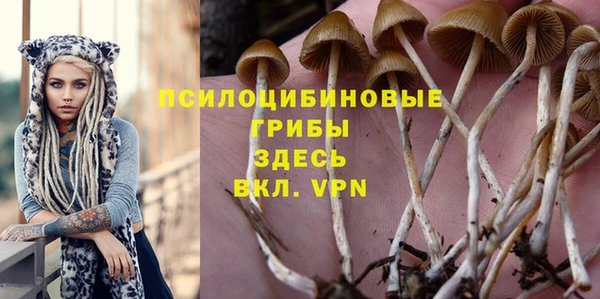 mdpv Липки