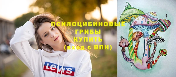 PSILOCYBIN Лихославль