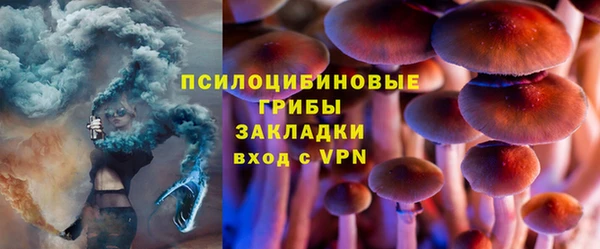 ГАЛЛЮЦИНОГЕННЫЕ ГРИБЫ Краснотурьинск